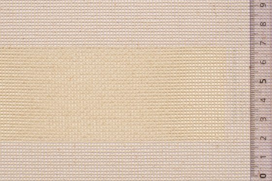 02MNVSCH62ECRxxxCOT[MONOCANVAS 62 SCHOOL](ECRU)F 560x560